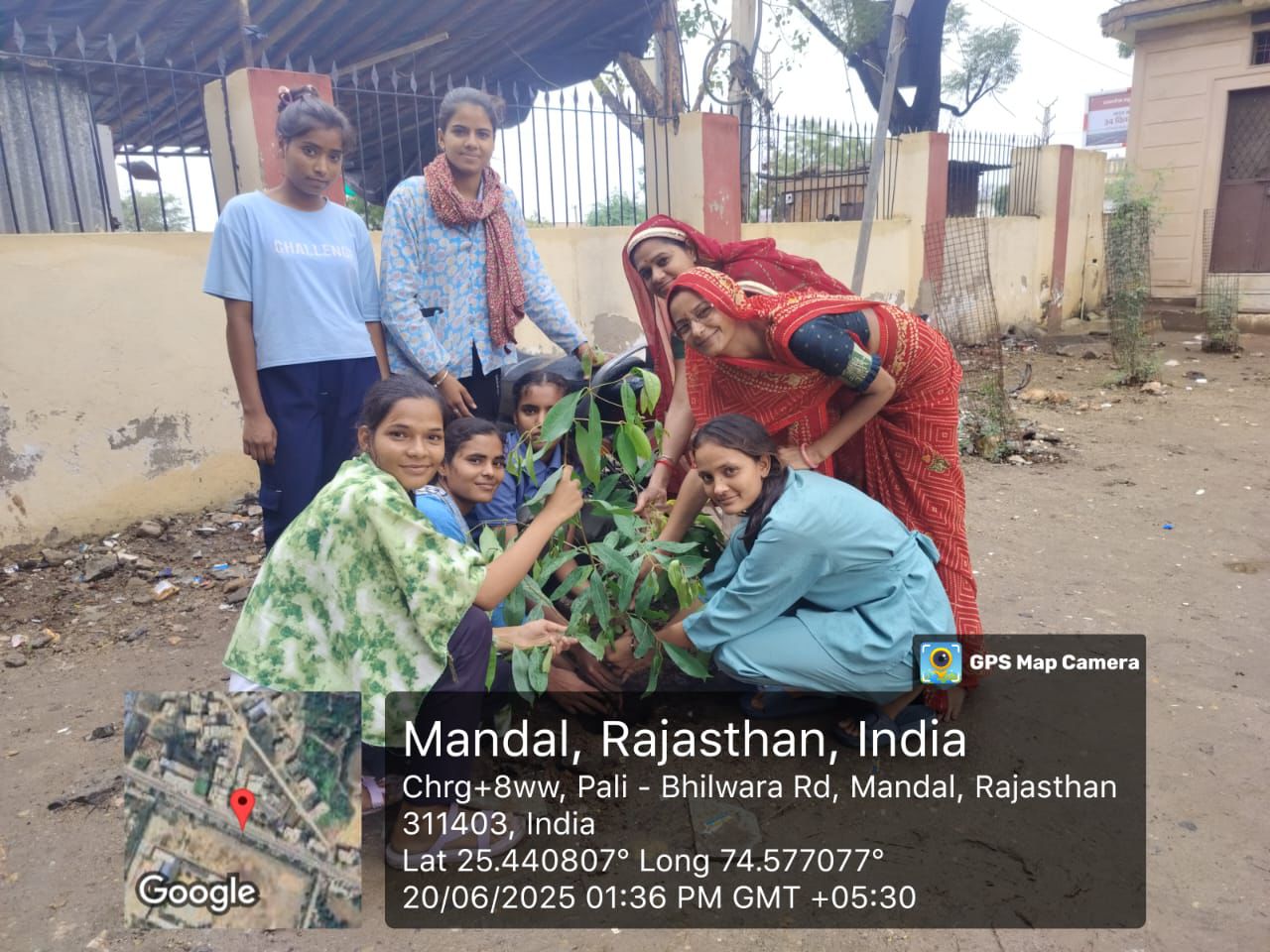 Tree Planting